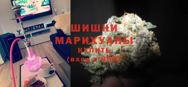 СК Новодвинск