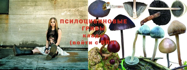 альфа пвп Новозыбков
