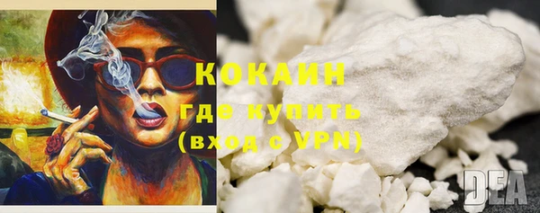 шишки Ельня