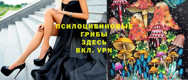 спиды Абинск