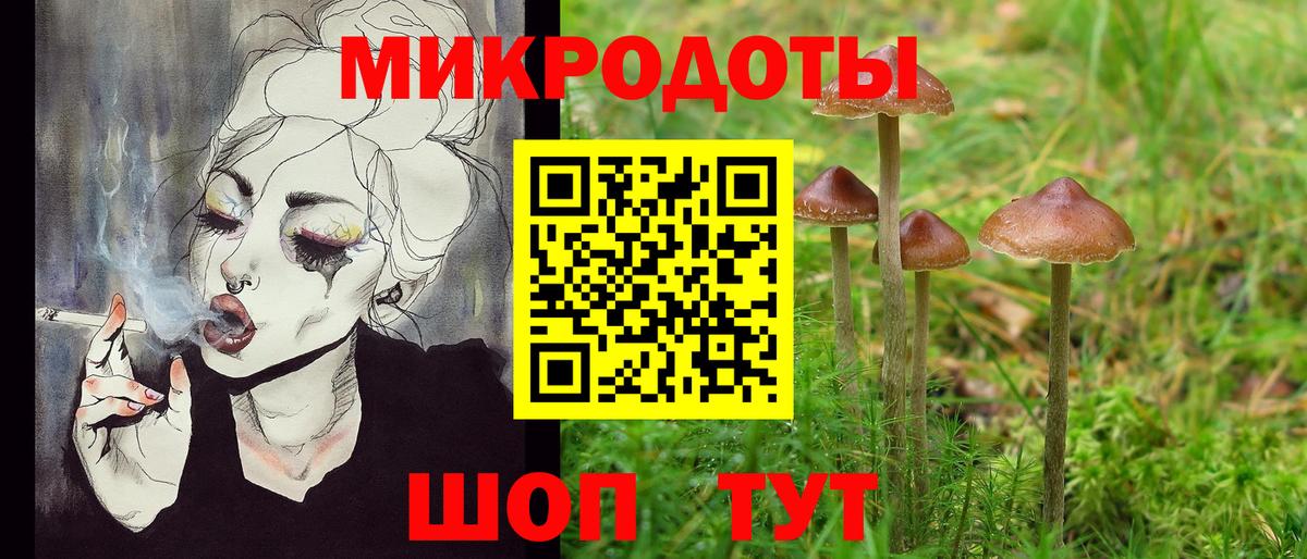 Галлюциногенные грибы ЛСД Грозный
